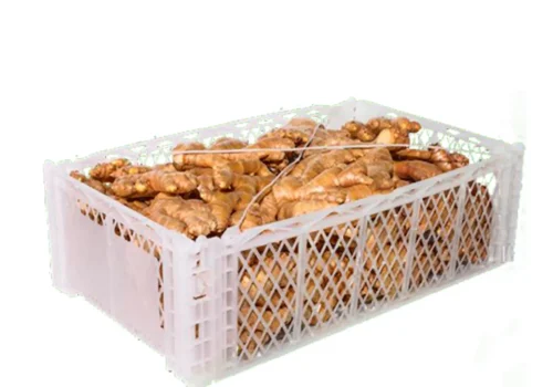 Peruvian ginger 2_11zon_11zon