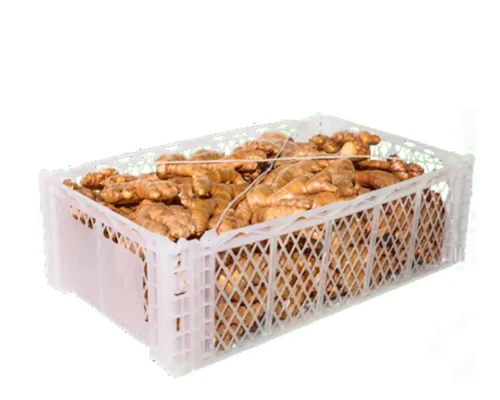 Peruvian ginger 2_11zon_11zon