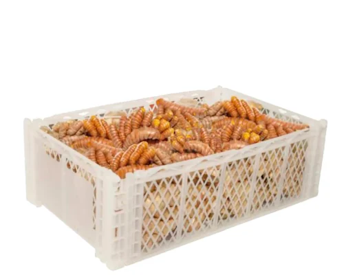 Peruvian turmeric 2_11zon_11zon