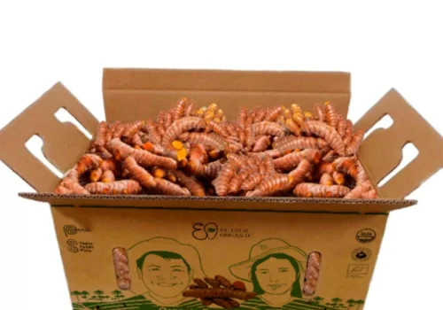 Peruvian turmeric_11zon_11zon