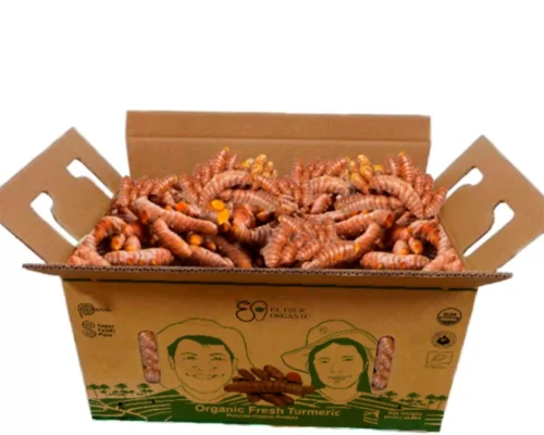 Peruvian turmeric_11zon_11zon