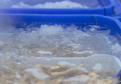 Untitled-1_11zon_11zon