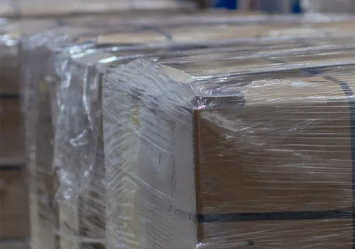 frozen ginger 2_11zon_11zon