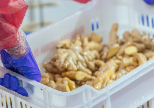 frozen ginger 5_11zon_11zon