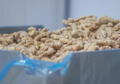 frozen ginger 6_11zon_11zon