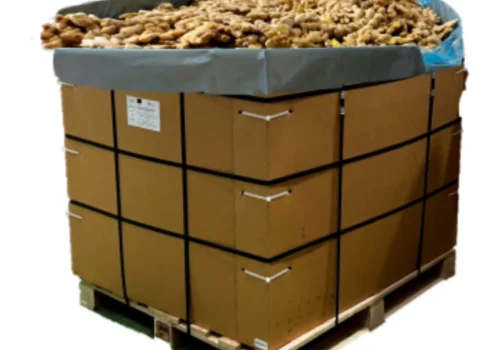 frozen ginger_11zon_11zon