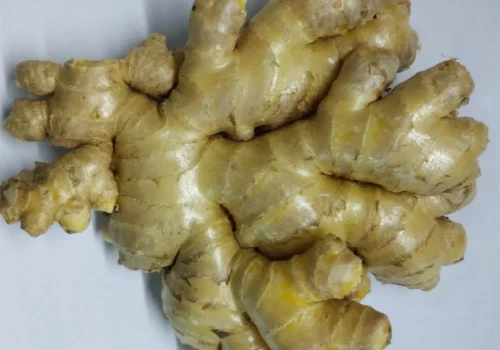 ginger jengibre 2_11zon_11zon